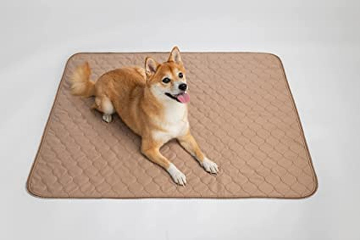 Reusable Dog Pee Pad, Waterproof Mat for Dogs and Puppies, 41"X41" W/ Grommets